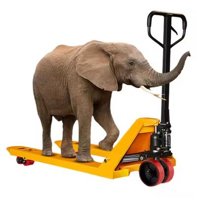 2000kg 3000kg Hand Hydraulic Pump Pallet Jack Manual Forklift Lift Hand Pallet Truck With PU Wheel